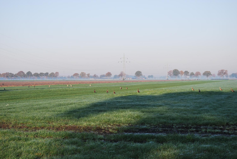 Others 5, Hoeve de Heemser Parel, Hardenberg