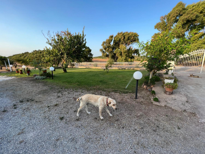 Others 3, The Arches House Bed and Breakfast IUN F1092, Sassari