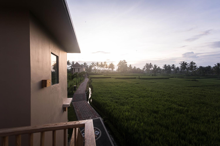 Scenery