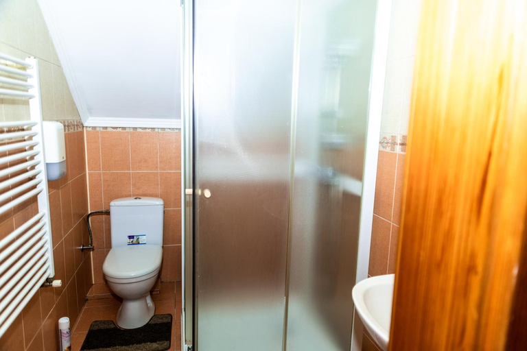 Bathroom 3, Wood House, Mizhhirs'kyi