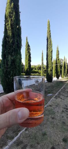 Food & Drinks 5, B&B Agriturismo Regno di Toscana, Livorno