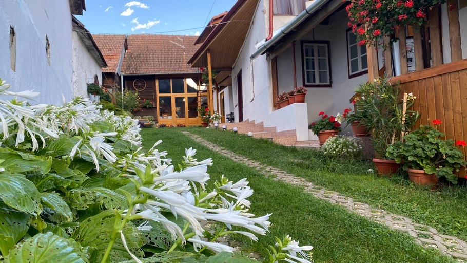 Others 2, Casa Kelemen Iren, Rametea