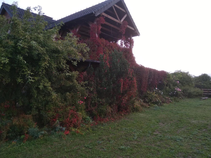 Others 2, Agroturystyka Bogdanki, Sztum