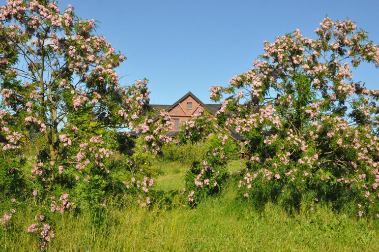 Others 5, Agroturystyka Bogdanki, Sztum