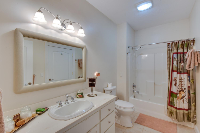 Bathroom 3, Hot Tub, Arcade & Casino! Blue Ridge Mtn Mansion, Union