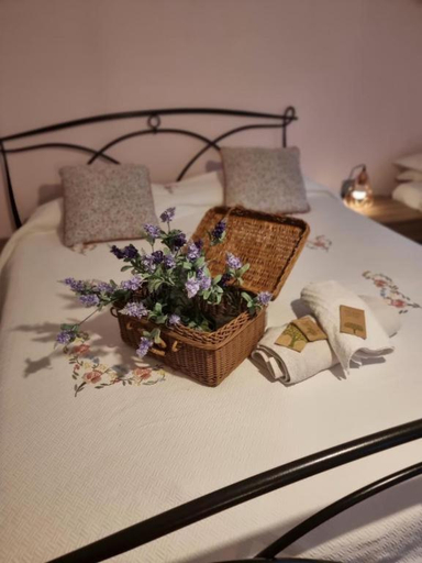 MARY HOUSE @, Sondrio