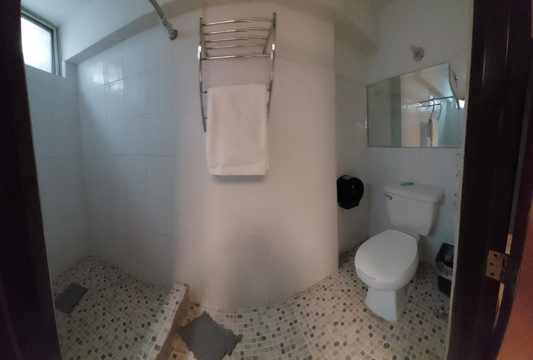 Bathroom 2, Hotel el Cortes, Aguascalientes