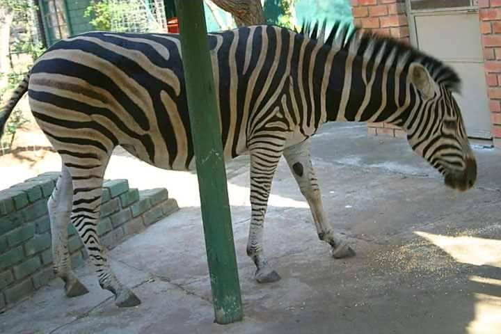 Others 4, Matumi Self Catering, Ehlanzeni