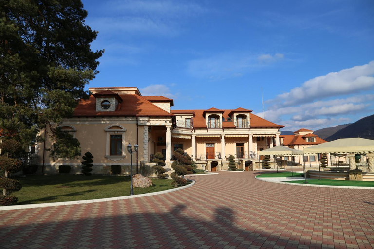 Exterior & Views 1, Pensiunea Trei Pini, Seini