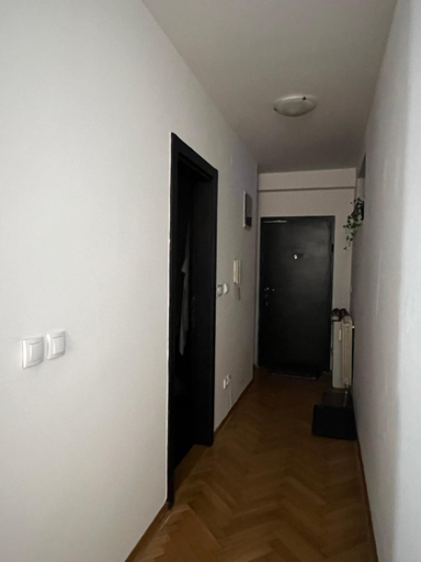 Others 5, Lovely flat, Belgrade