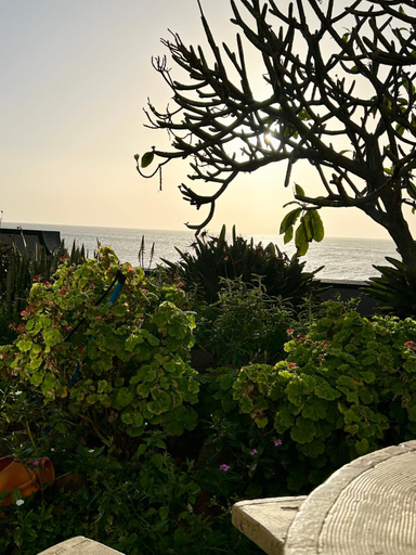 Surrounding environment 5, Casa Carneirinho by Ola Madeira, Calheta