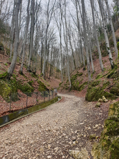 Others 2, Vila Dionysos Brasov, Ghimbav