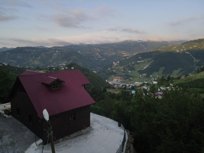 Others 4, DIAMOND TREE HOUSE, Merkez