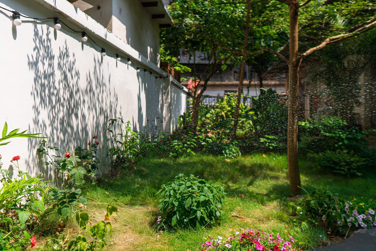 Scenery 9