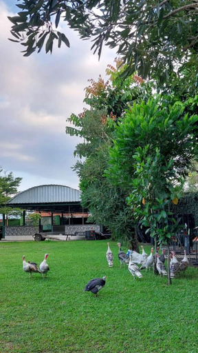 Others 3, Green Patriot Resort, Garut