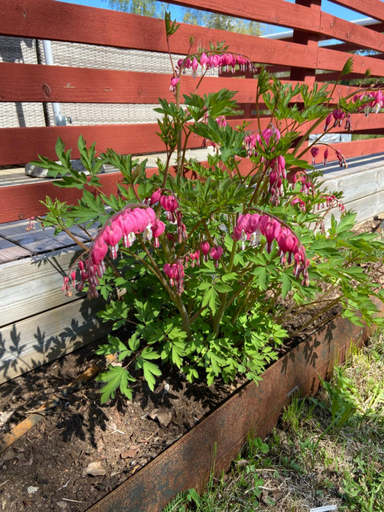 Others 3, Holens B&B, Leksand