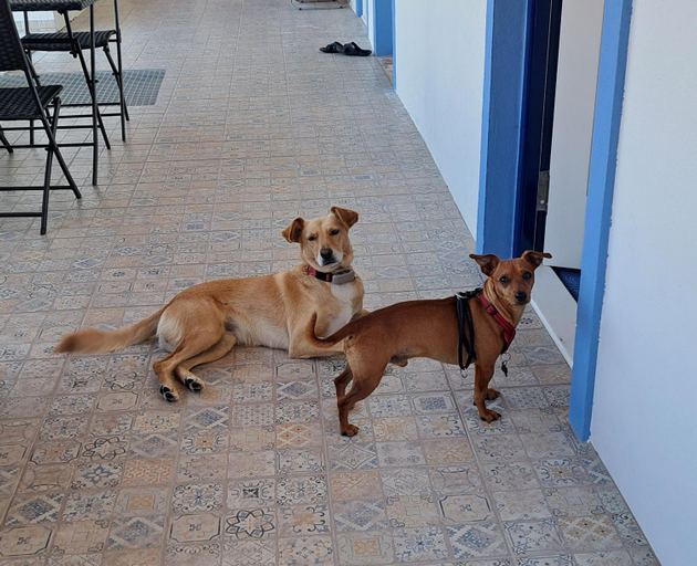 Others 2, Casa Ciska, Pombal