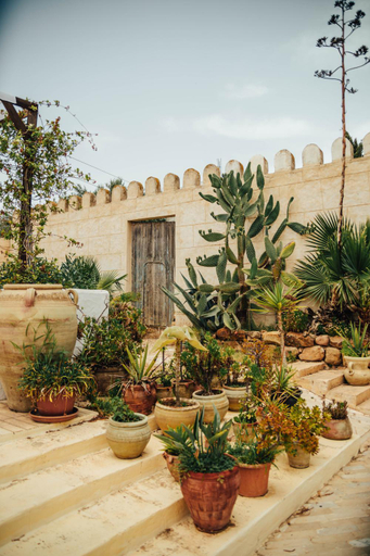 Others 3, DAR BELDI, Hammamet