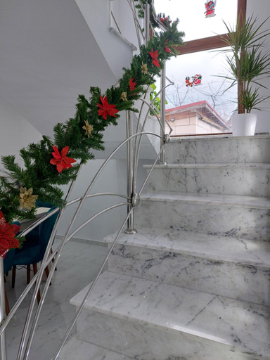 Others 5, Maria's Dream House, Zarnesti