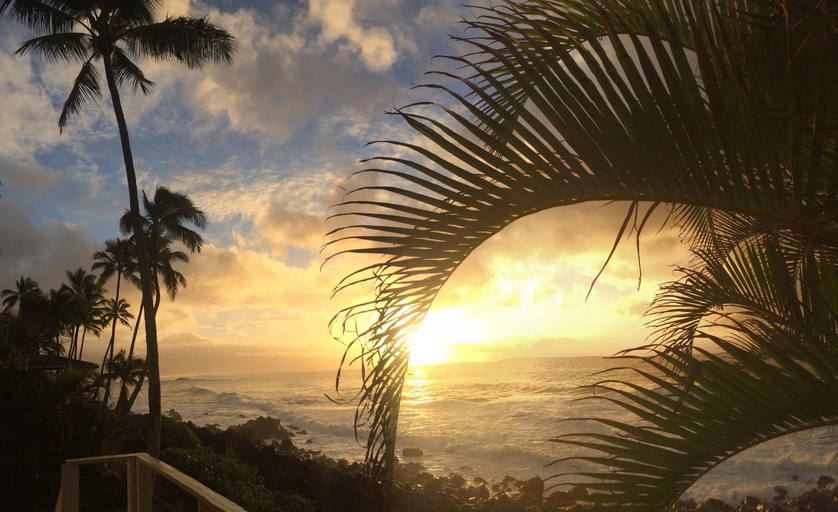 Others 5, Waimea Bay Shoreline House, Honolulu