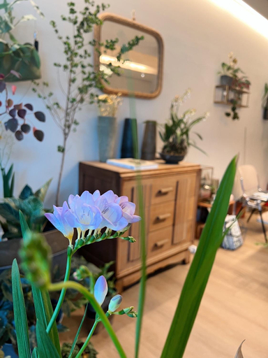 Others 2, Chulin Homestay, Tainan