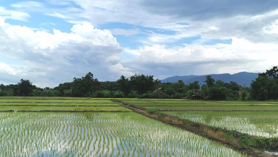 Others 3, Wichouda Homestay, Chiang Dao
