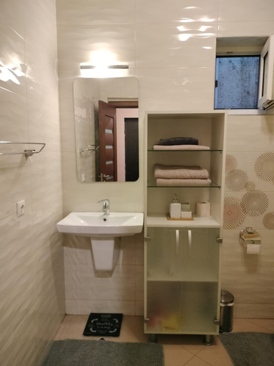Bathroom 2, Central Apartment in Mihai Viteazu Square, Cluj-napoca