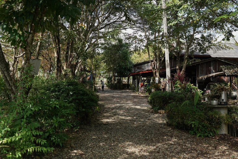 Others 4, Art House at Chiangdao - Moon House, Chiang Dao