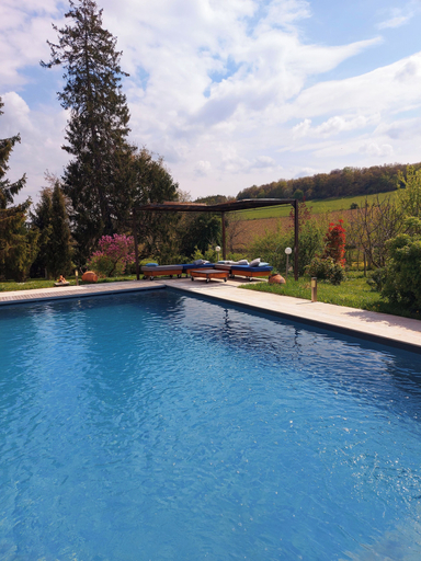 Sport & Beauty, Grand Cru, Saône-et-Loire