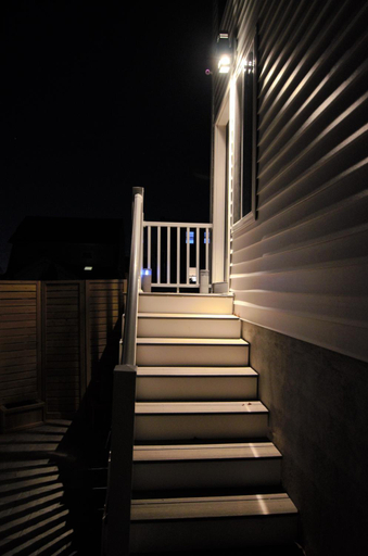 Others 4, Silva Domus, Essex