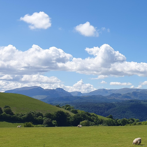Others 3, Snowdonia Shepherds' Huts, Conwy