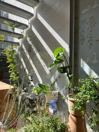 Others 5, Chulin Homestay, Tainan