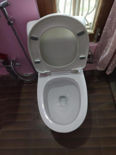 Bathroom 2, Hotel Sauraha Gaida House, Narayani