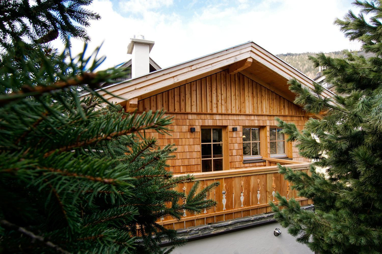 Others 5, Adelheid Keusche - DAS Chalet in Rennweg am Katschberg, Spittal an der Drau