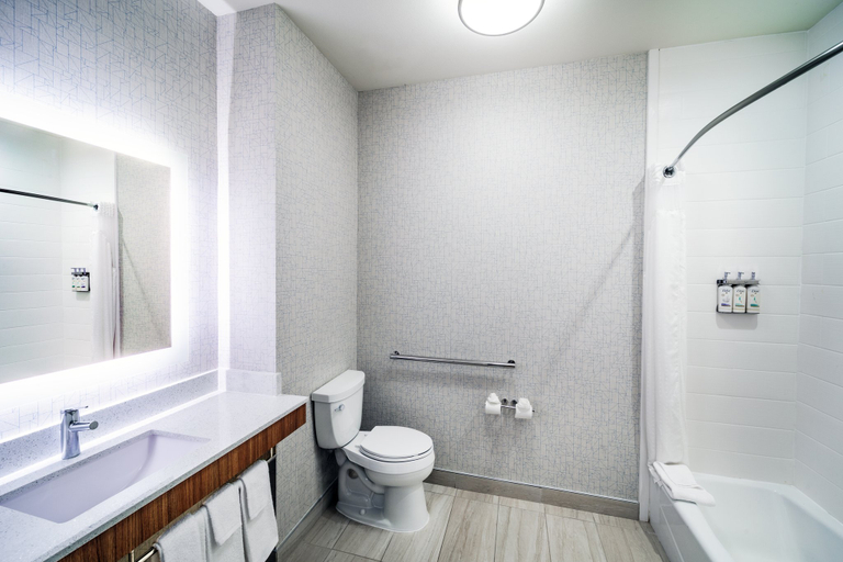 Bathroom 5, Holiday Inn Express & Suites DALHART by IHG, Hartley