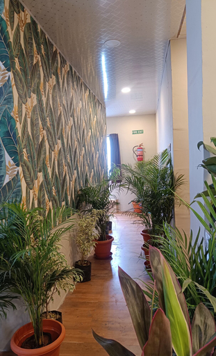 Others 5, YADUKUL HOTEL, Hyderabad