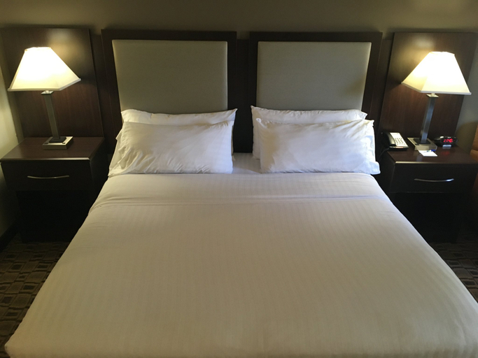 Holiday Inn Express & Suites ALBEMARLE Room Type - 1 King Standard Mobility Accessible Tub