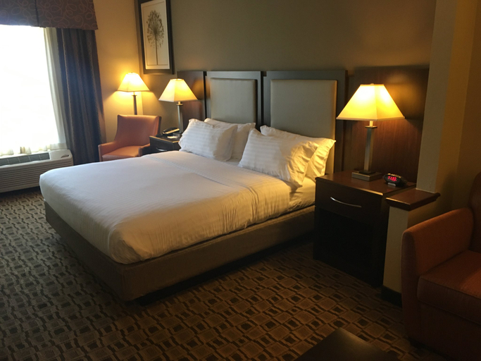 Holiday Inn Express & Suites ALBEMARLE Room Type - 1 King Suite Mobility Accessible Tub