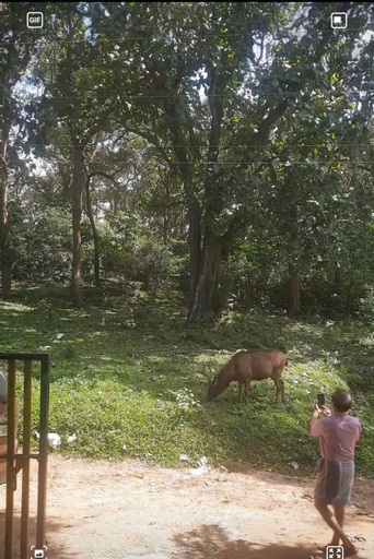 Scenery 11