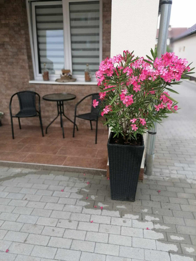 Others 3, VAR-LAK Apartman, Kisvárda