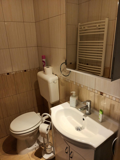 Bathroom 5, Pilota Panzio, Szeged