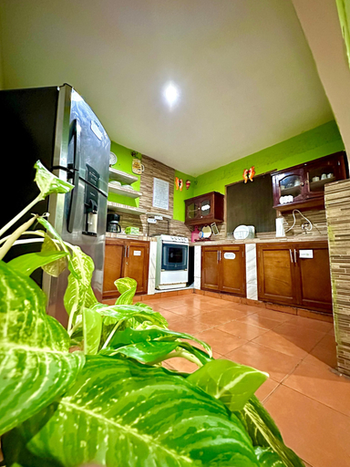 Others 5, Green Hostel, Lago de Nicaragua