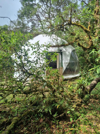 Others 3, Refugio La Paz EcoGlamping, San Ramón
