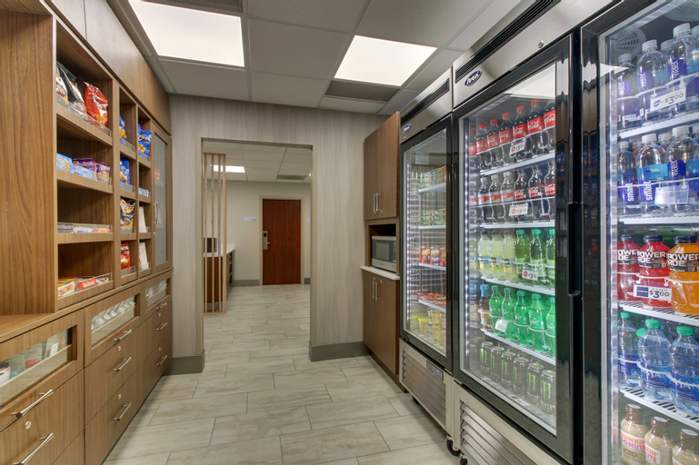 Holiday Inn Express & Suites ATLANTA N-PERIMETER MALL AREA, Fulton