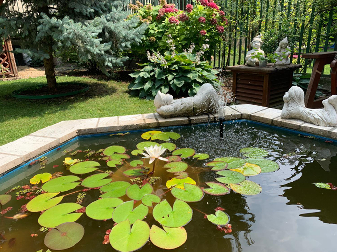 Sport & Beauty, Hotel Arcus Garden, Bratislava II