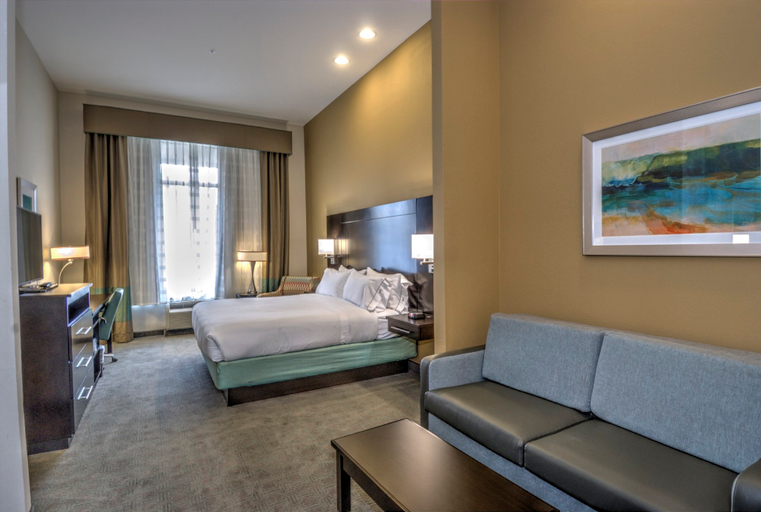 Holiday Inn Express & Suites Austin South, an IHG Hotel Room Type - 1 King Suite Comm Access Sofa Bed