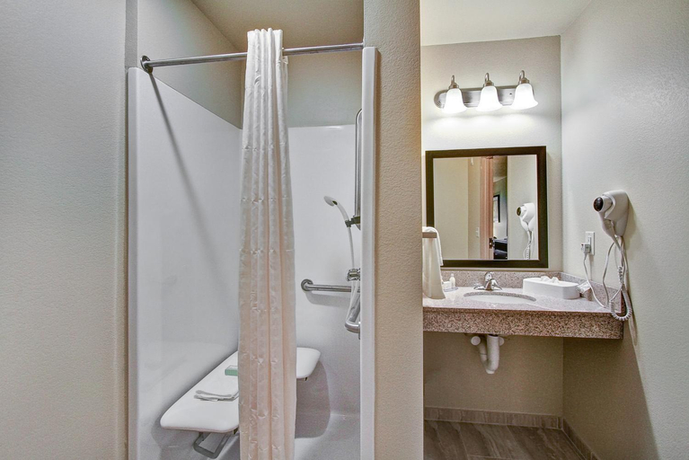 Bathroom 4, Cobblestone Hotel & Suites - Pulaski, Brown