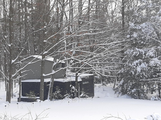 Exterior & Views 1, Black Pine Tree House, Halton