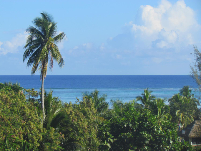 Others 3, Location " la Pirogue " Maison d'Hotes a Moorea