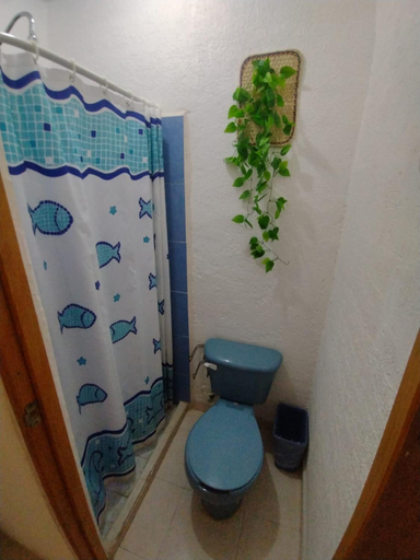 Bathroom 3, Mexico Arte, Benito Juárez